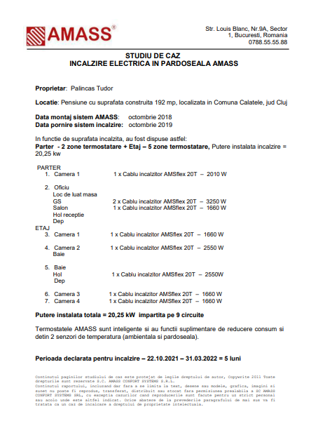 Studiu de caz Palincas Tudor